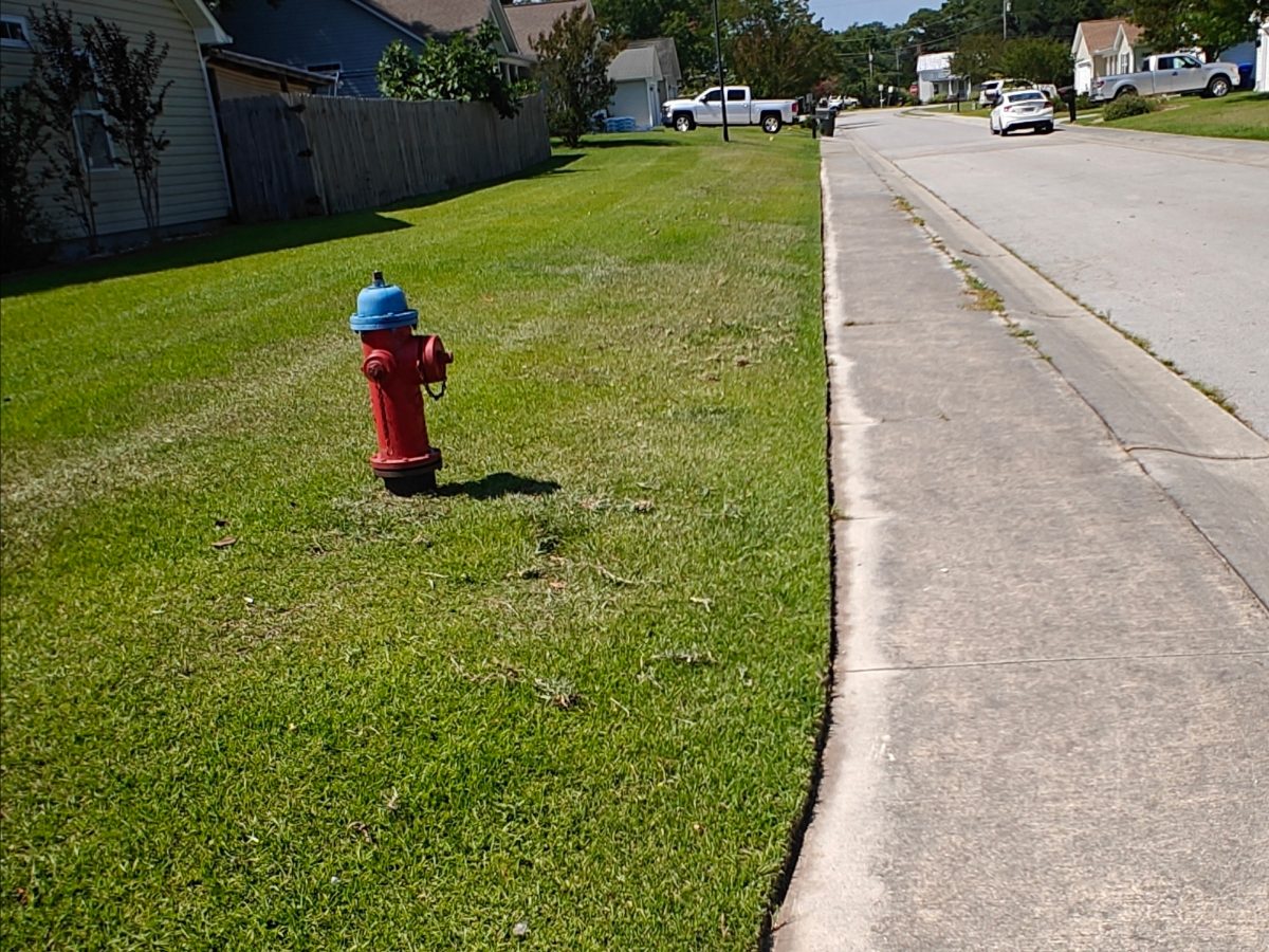 The same sidewalk with a clean vertical edge cut after
                    edging, concrete lip fully exposed.