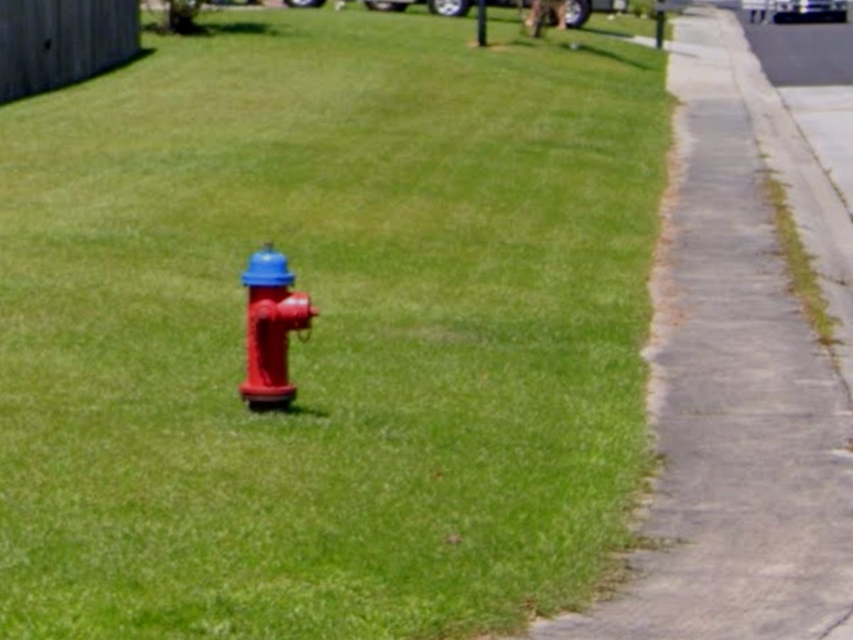 Grass grown over the sidewalk seam before edging, with a
                    ragged boundary along the concrete.